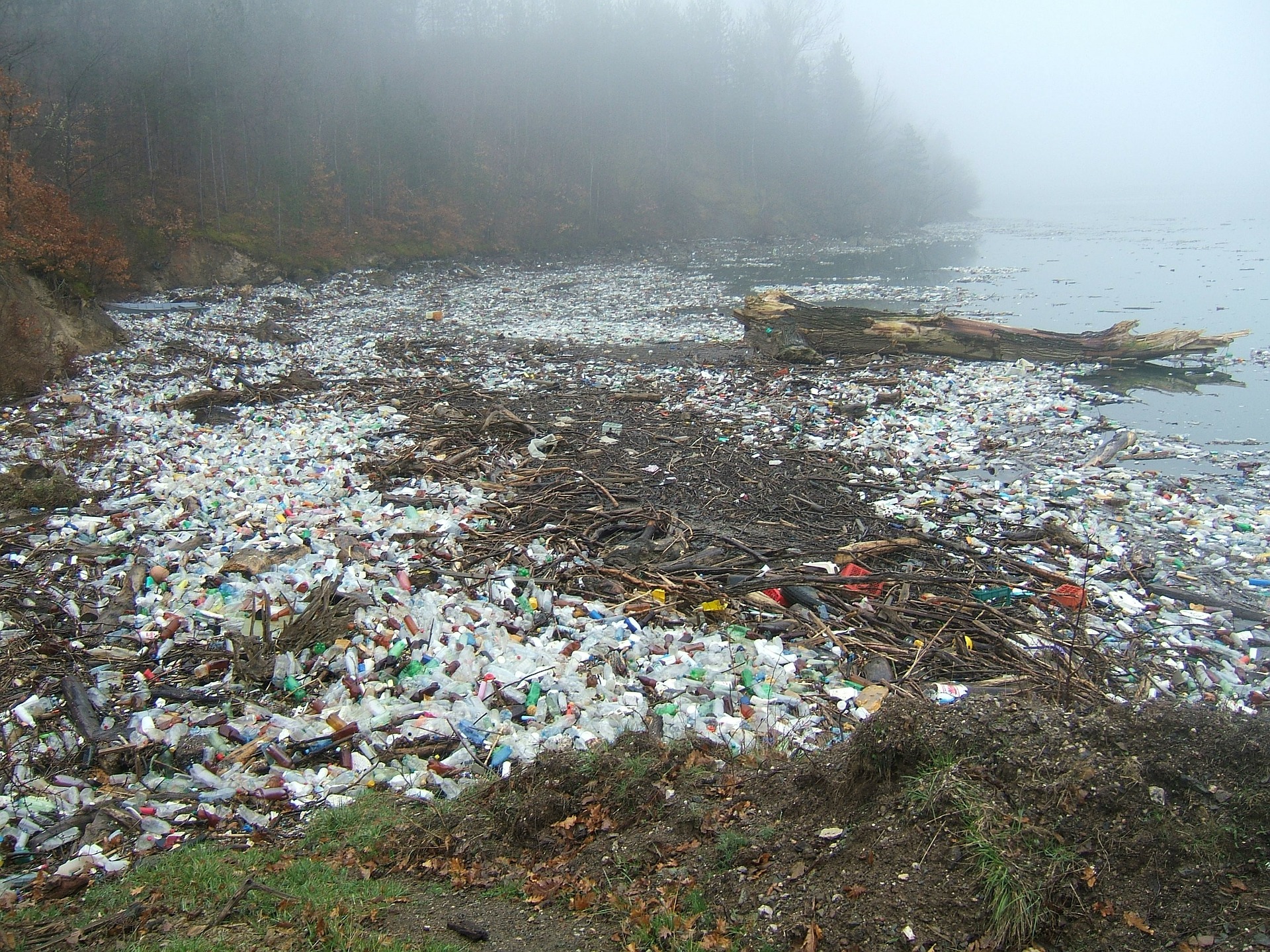 Midway, a plastic island